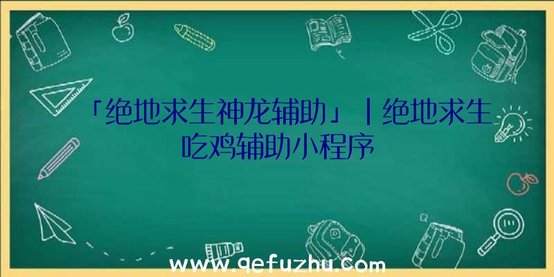 「绝地求生神龙辅助」|绝地求生吃鸡辅助小程序